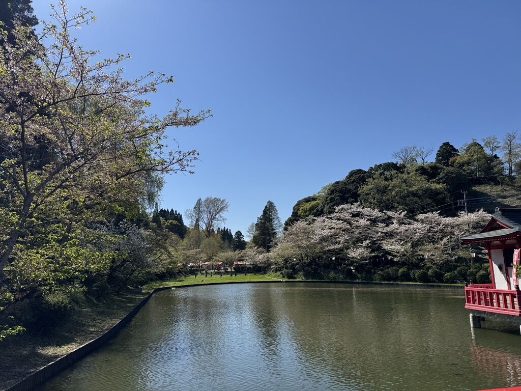 Image - 2026-04-11T162318.164