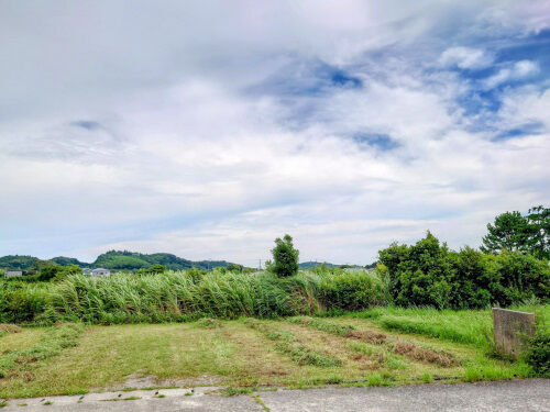 DSC_4312~2-1