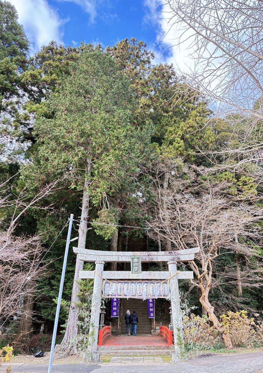 20260101_004040023_iOS