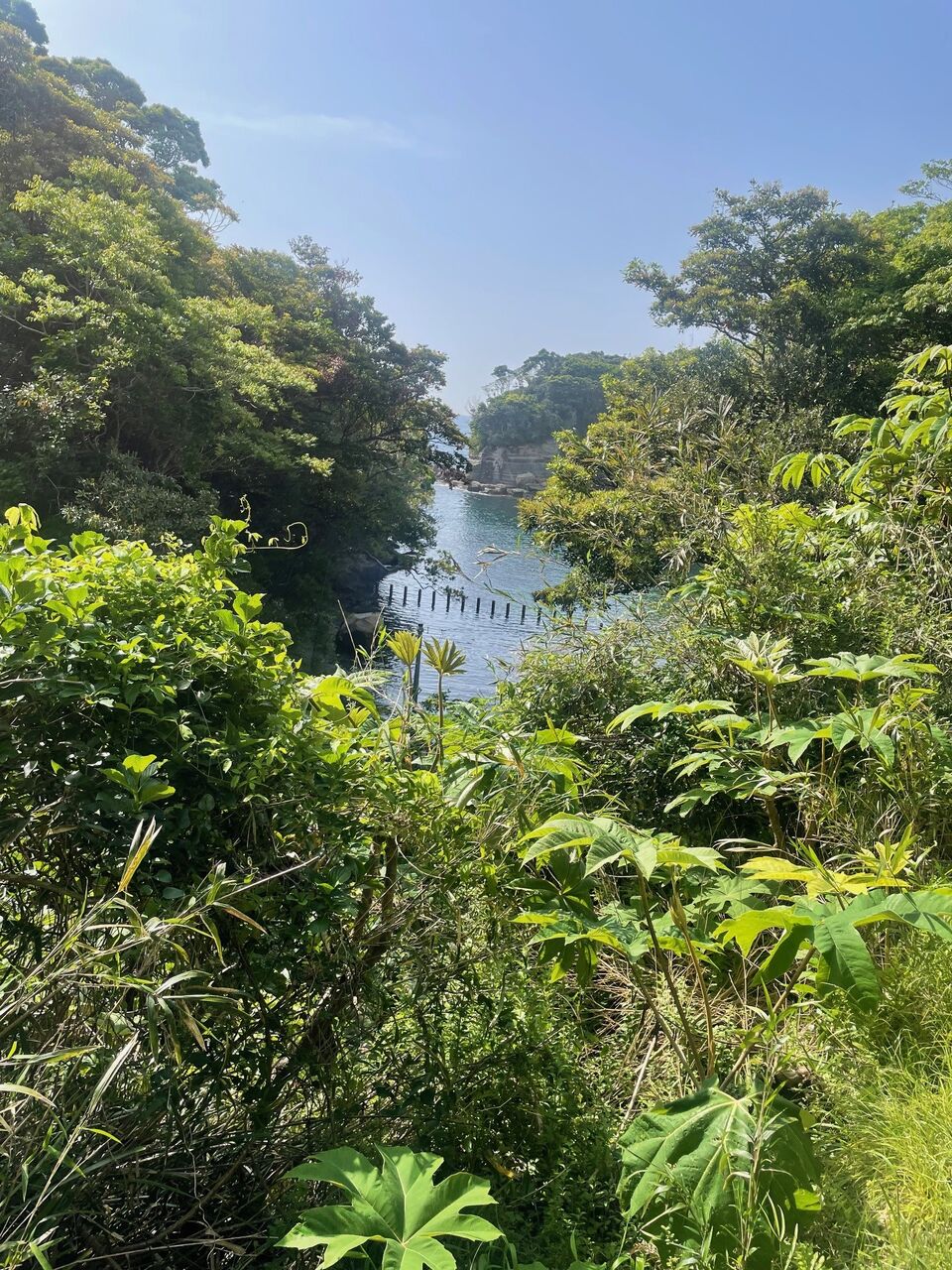 穏やかな景色