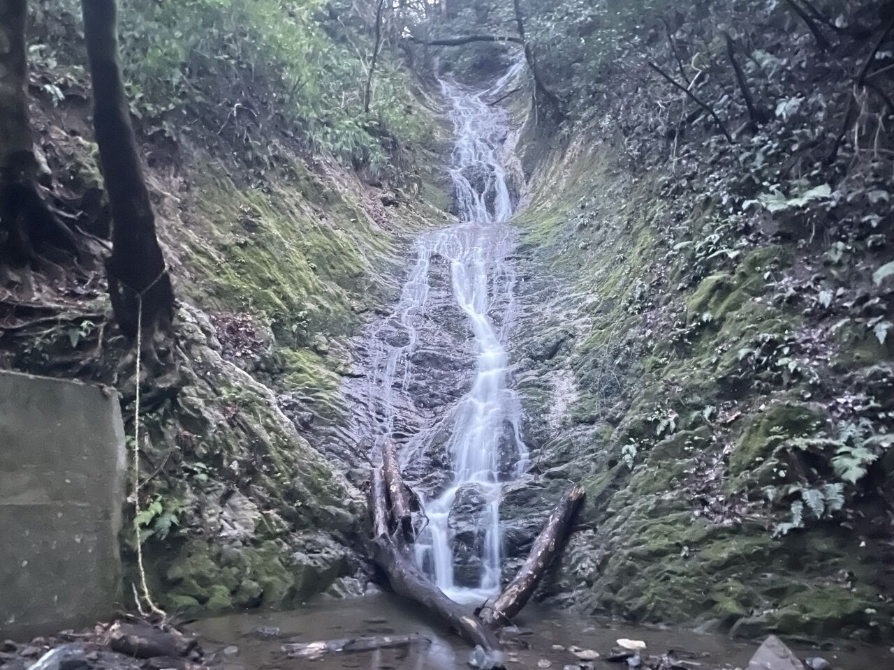 20250319_090503880_iOS