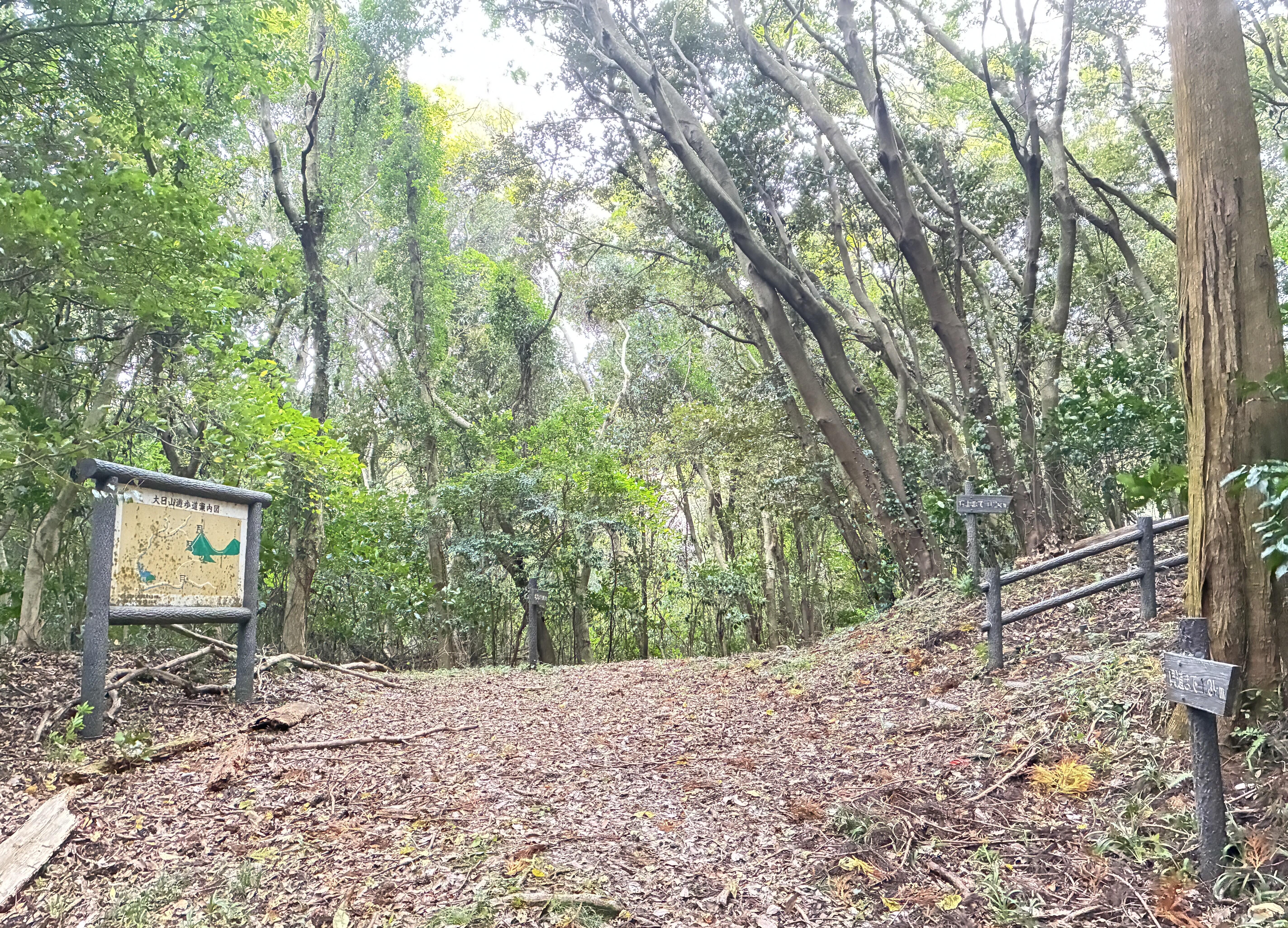 20251102_063631530_iOS