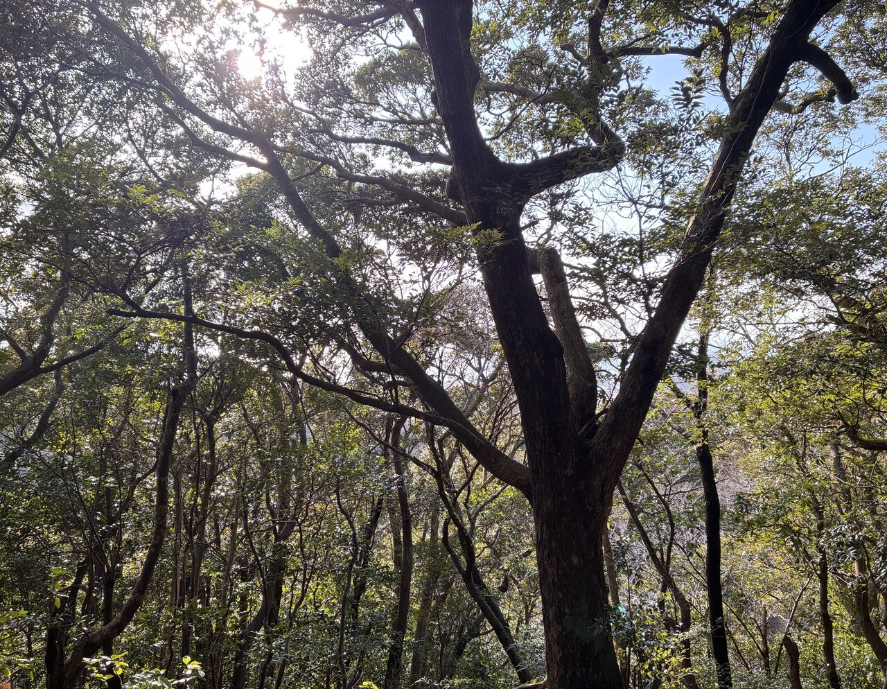 20260304_065306300_iOS