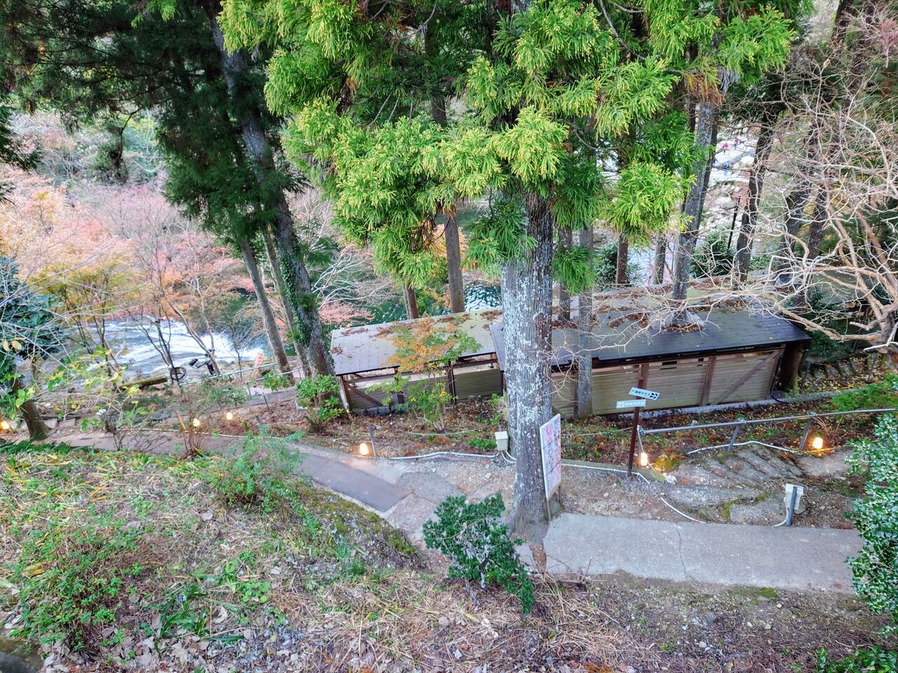 DSC_4995~2