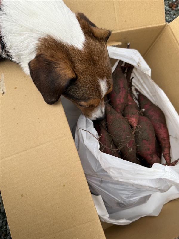 668ce3f0-35e5-4e3b-9a6f-9750e7e6829d