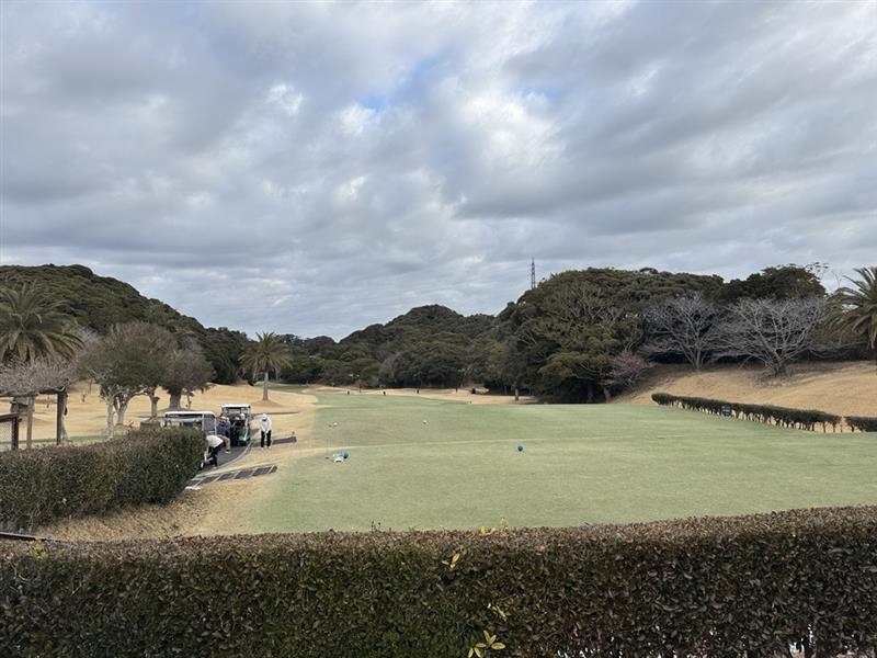 Image - 2026-02-20T164430.995