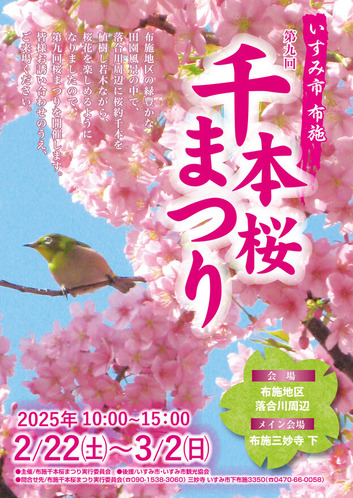 布施千本桜まつり