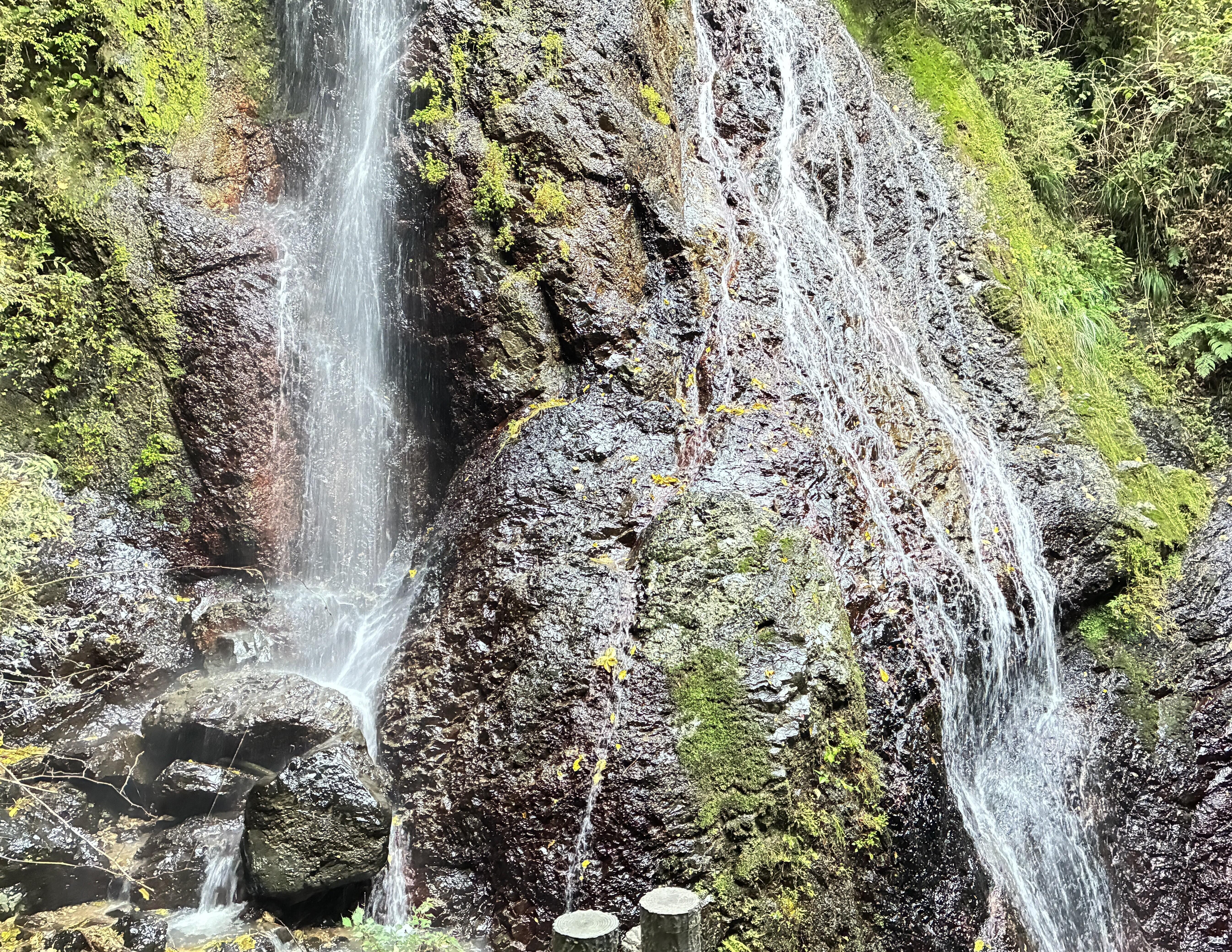 20251102_065242025_iOS