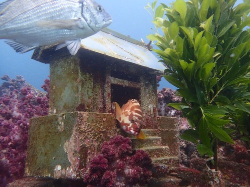 海底神社の社