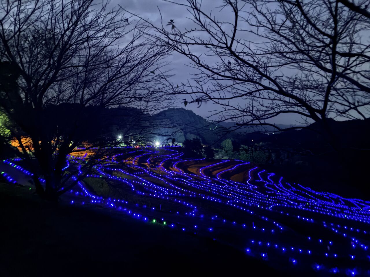 20251029_083152282_iOS