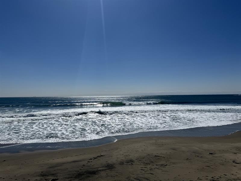 Image - 2026-03-29T175438.378