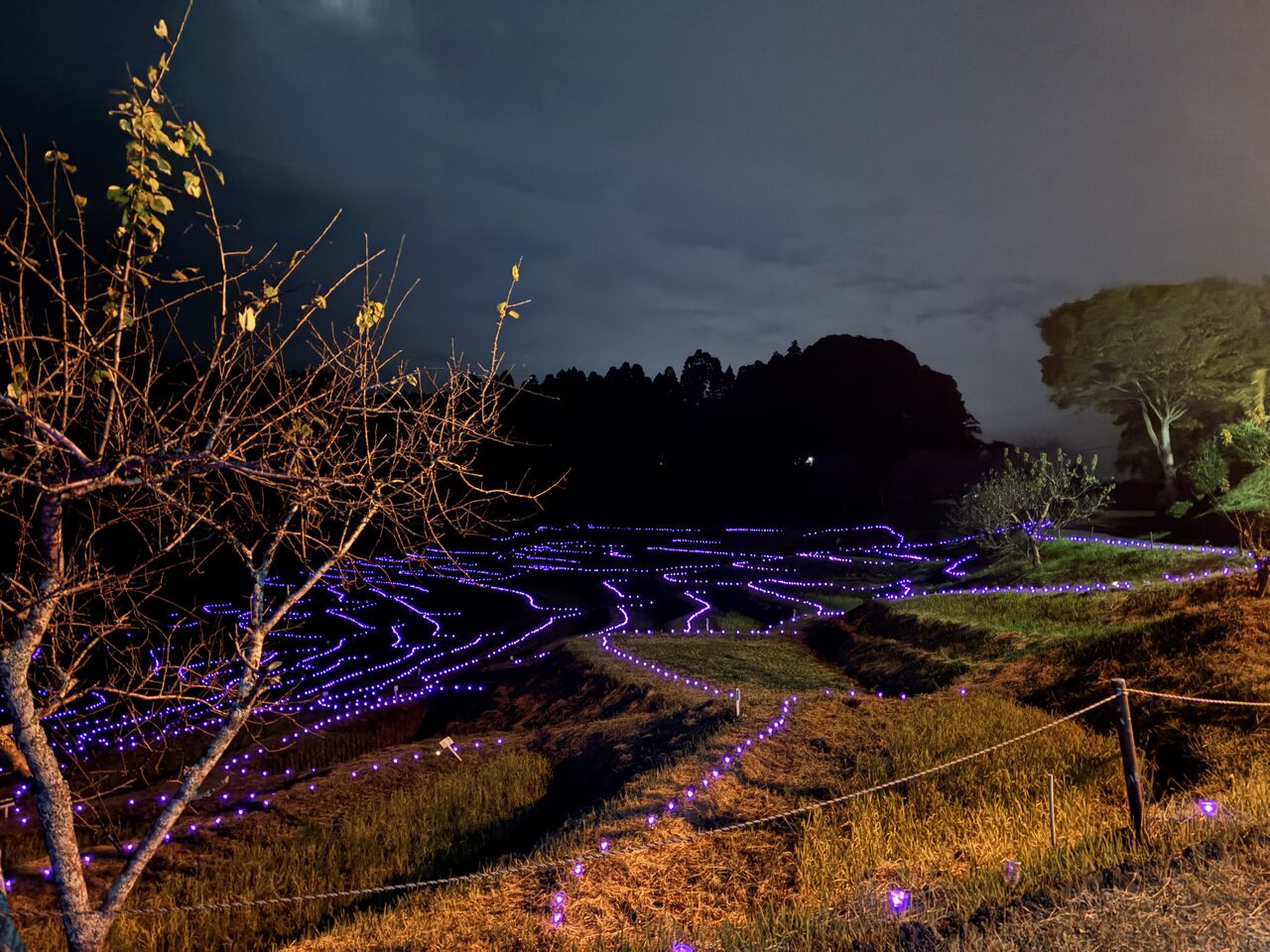 20251029_085738673_iOS