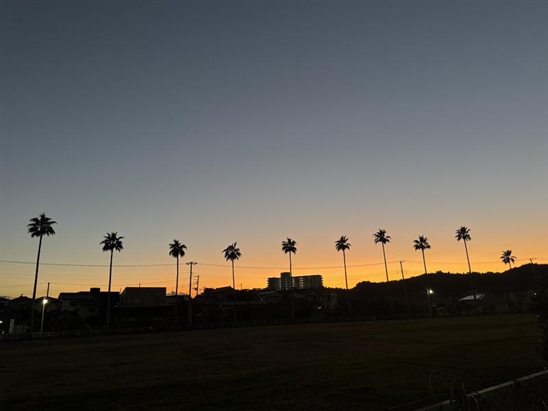 f322c92b-84a2-4d8b-9689-945f6b7aa1df