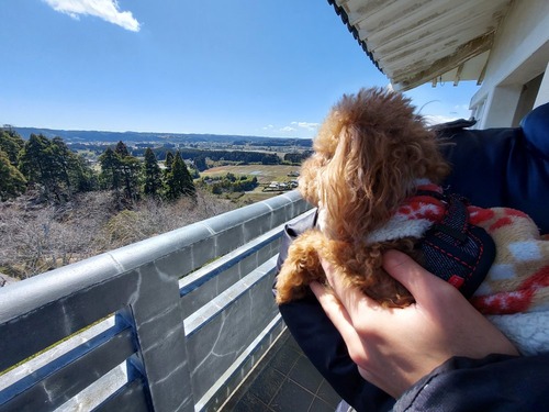 愛犬2