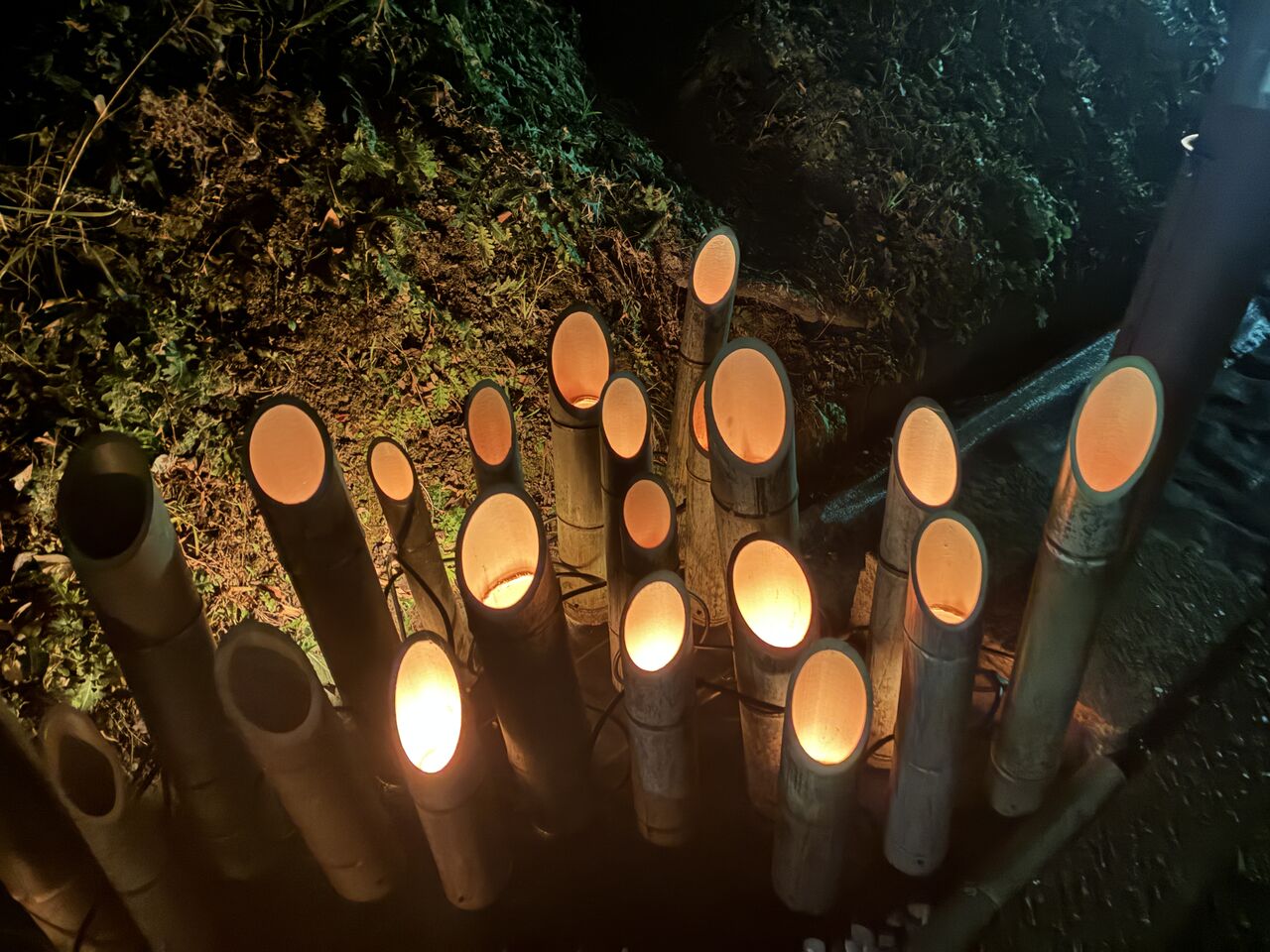 20260210_093327853_iOS