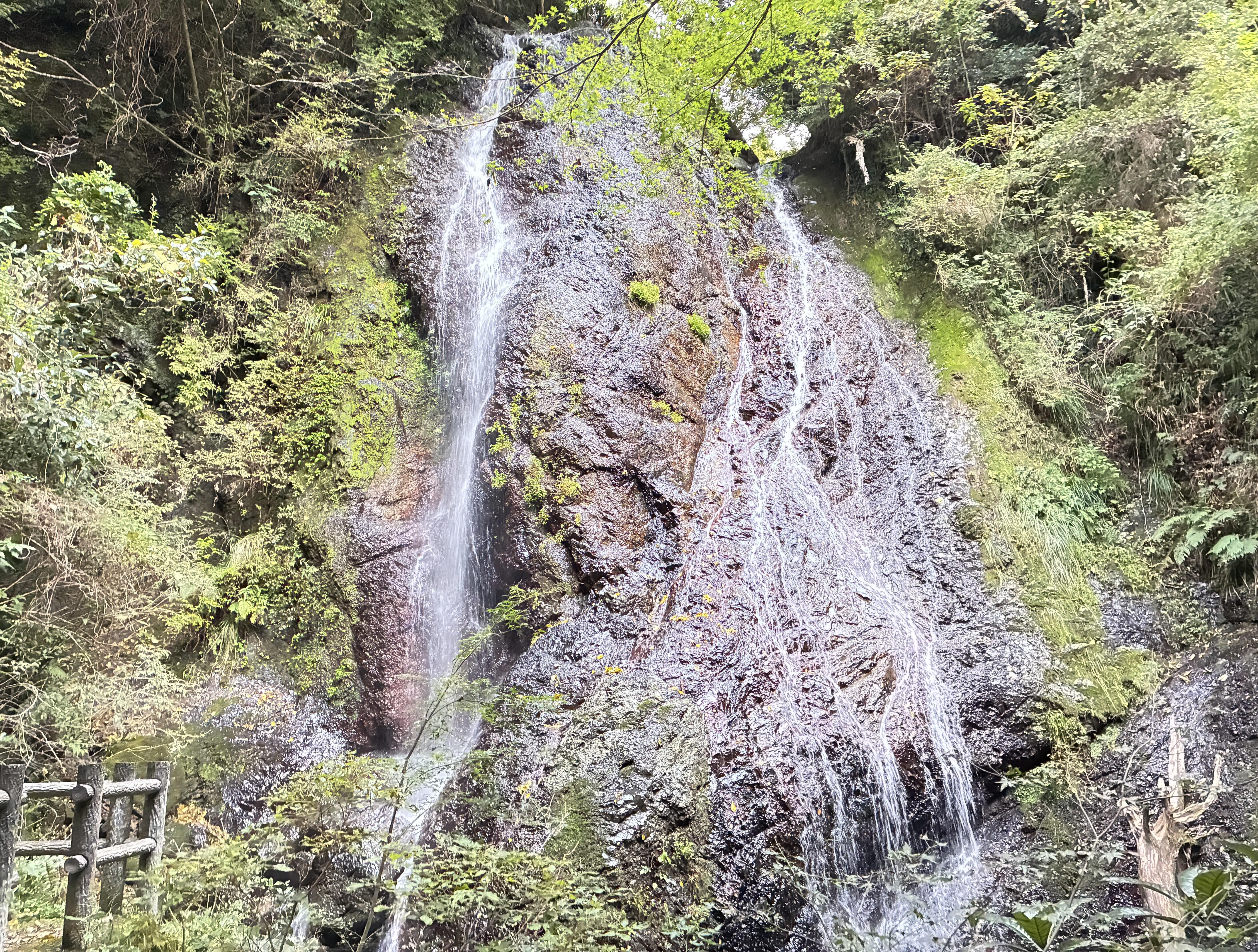 20251102_065053549_iOS