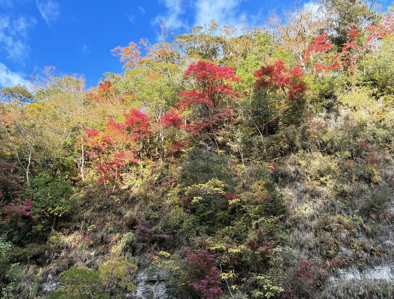 20251122_061642031_iOS