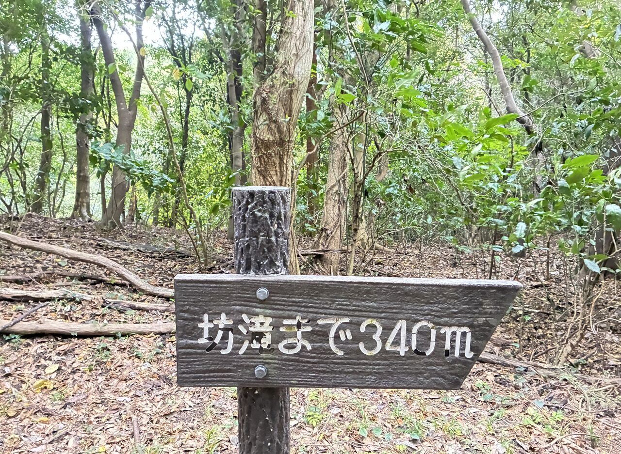 20251102_063725837_iOS