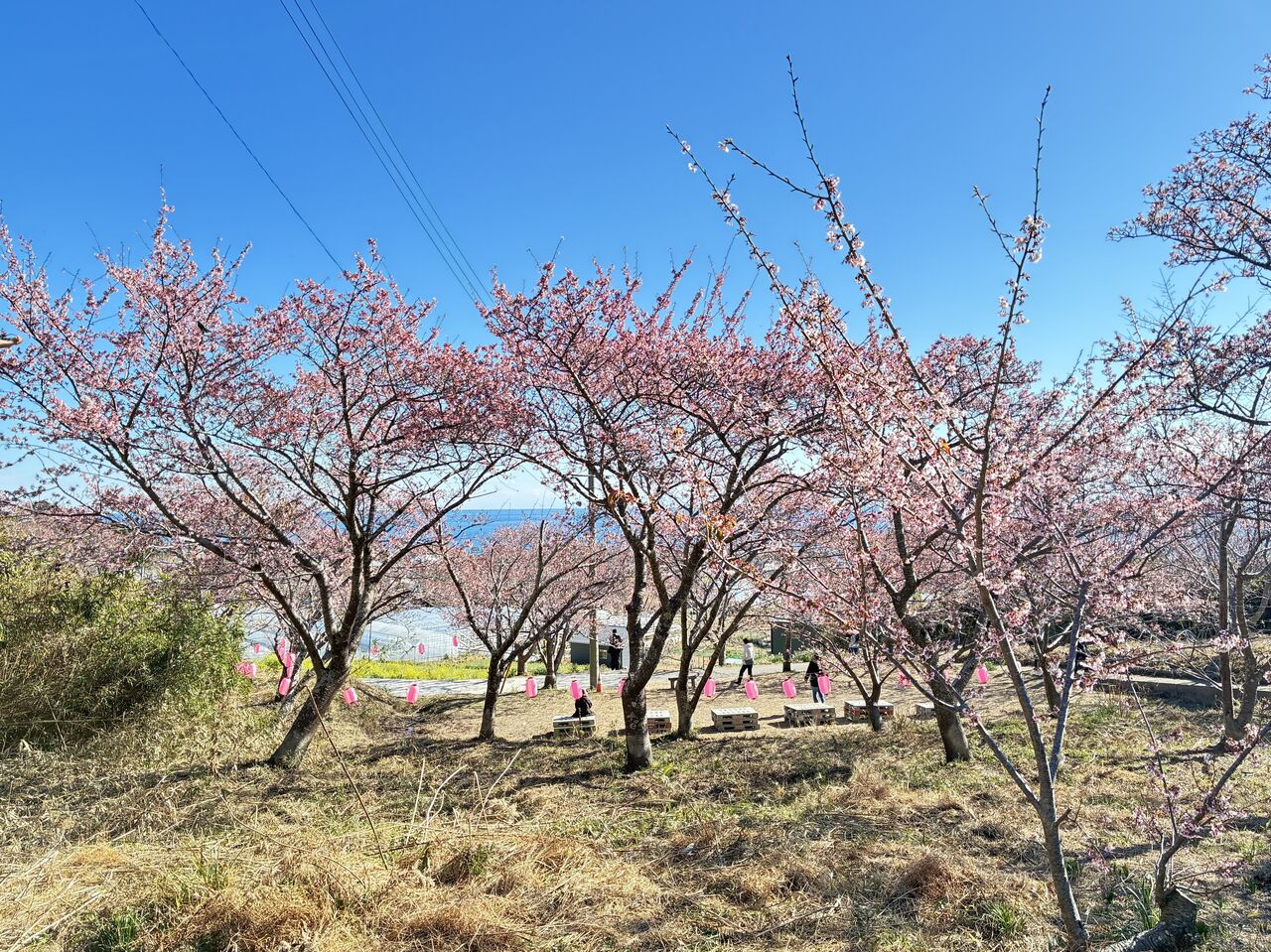 20260123_025800107_iOS