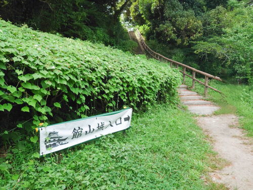 DSC_4437~2-1