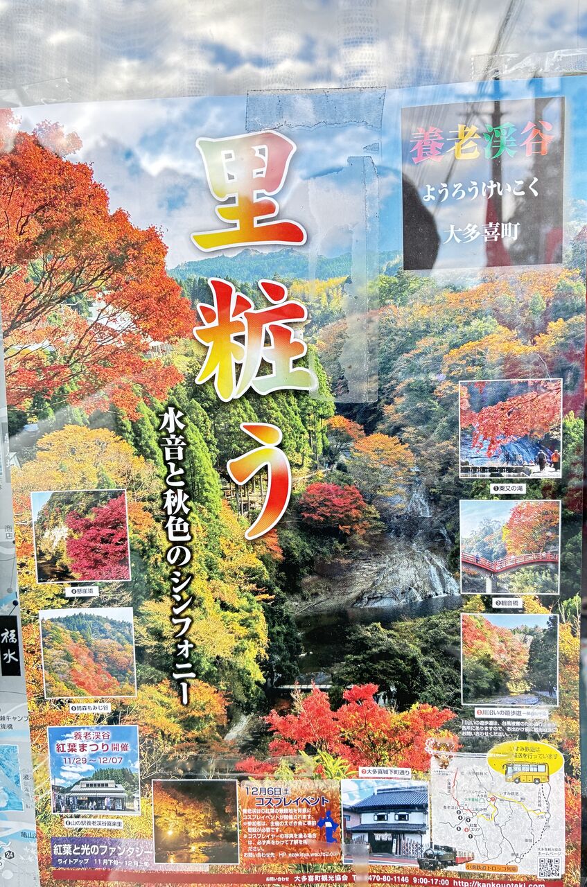 20251122_055740416_iOS