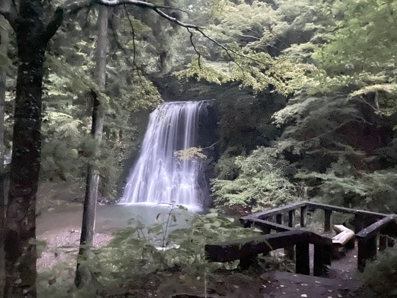 20241030_081050541_iOS