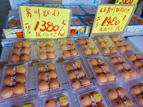 あじさい屋敷9