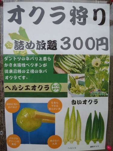 オクラ狩り