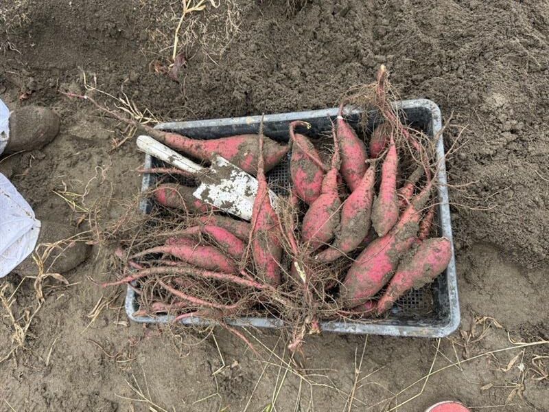 7b318aa8-cd8b-4eae-83f0-9d8698d4bd30