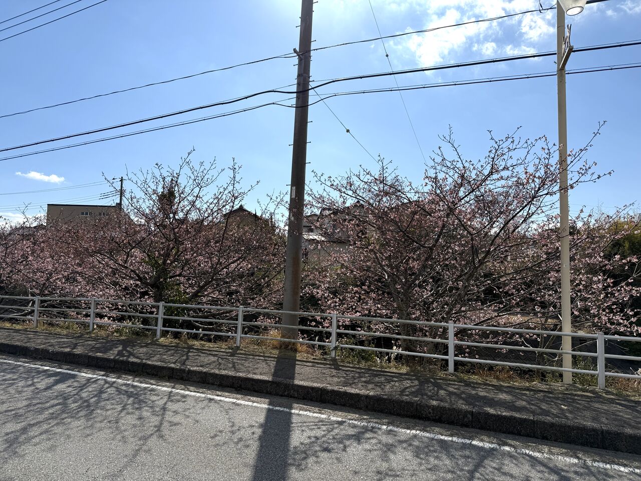 20260202_032430107_iOS