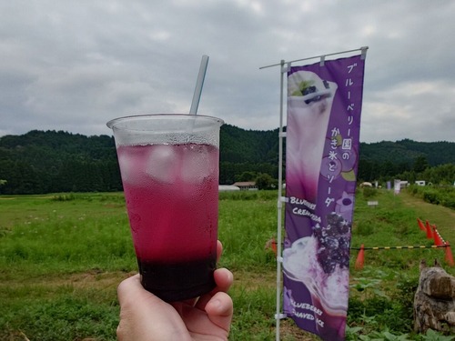 ブルーベリーソーダ