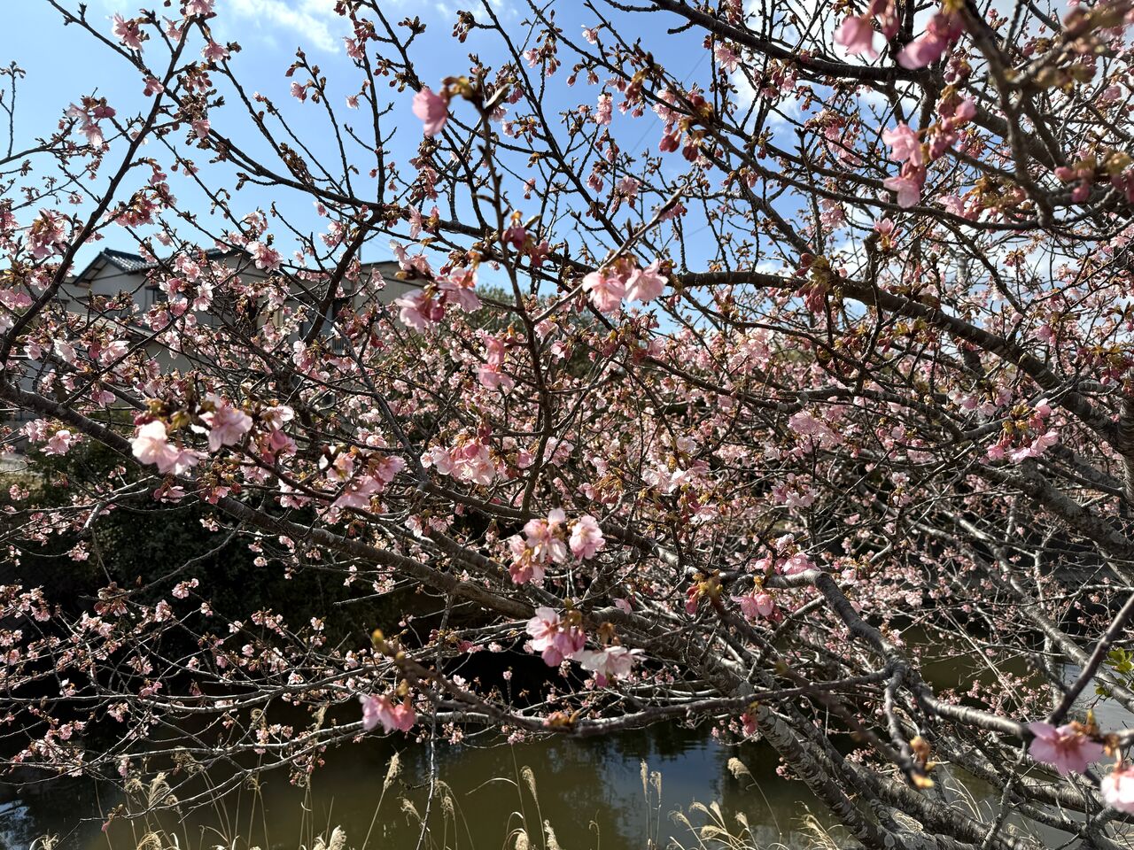 20260202_032454755_iOS