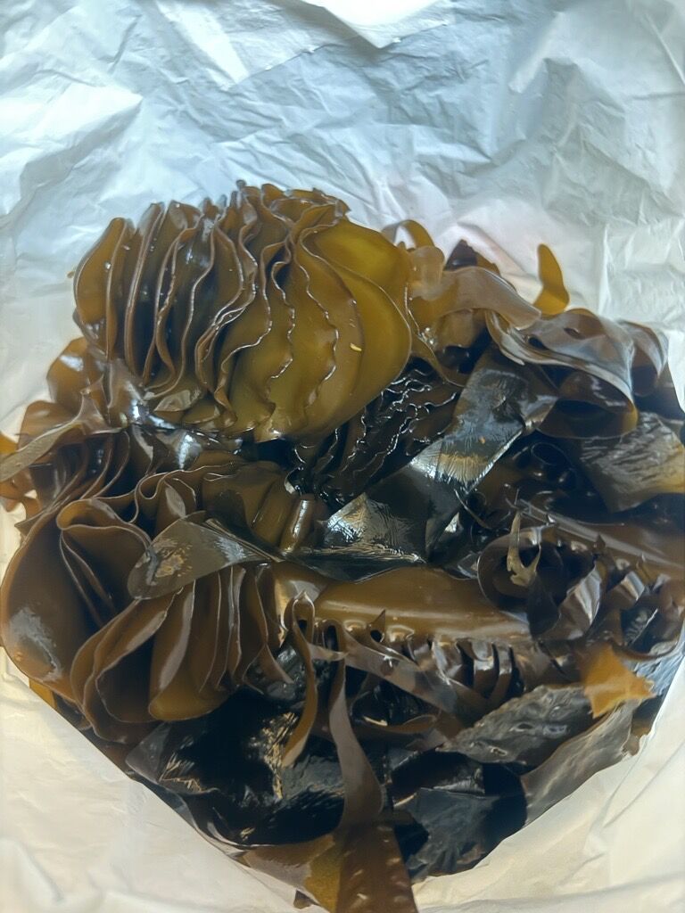 Image - 2026-03-23T170202.748