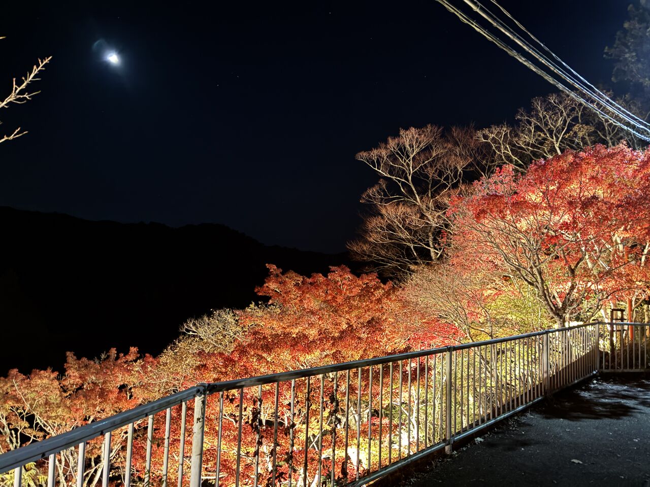 20251126_095100876_iOS