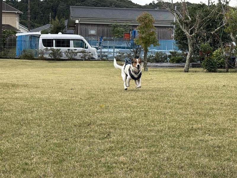 6ac33098-a494-41d1-b4b6-bd6fc0303367