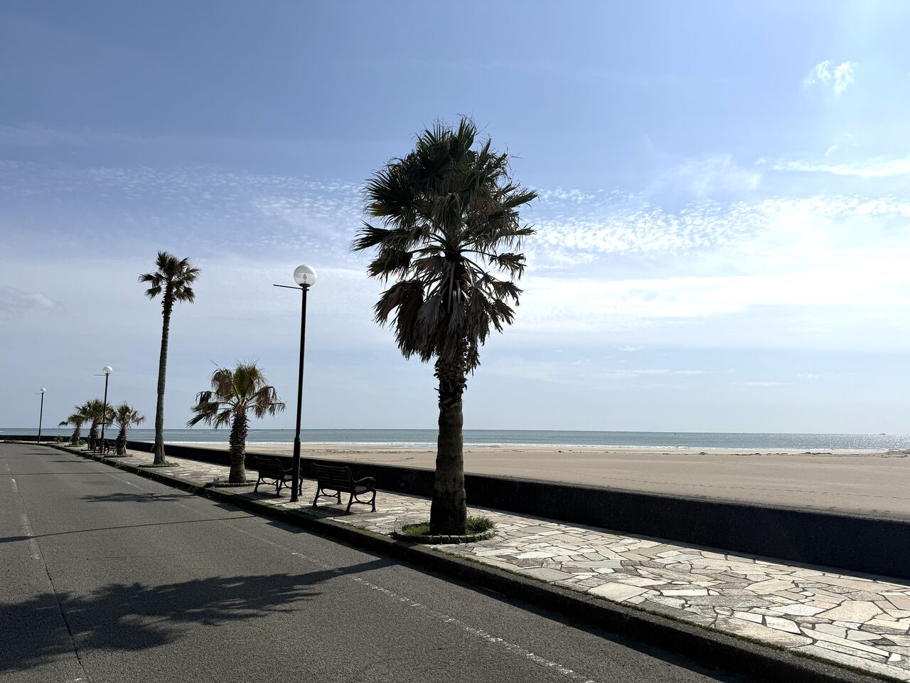 20260309_042356114_iOS