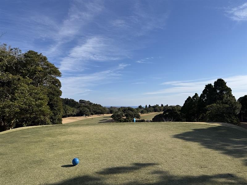 050665a8-99e0-403e-974f-5c7a5f96b76e