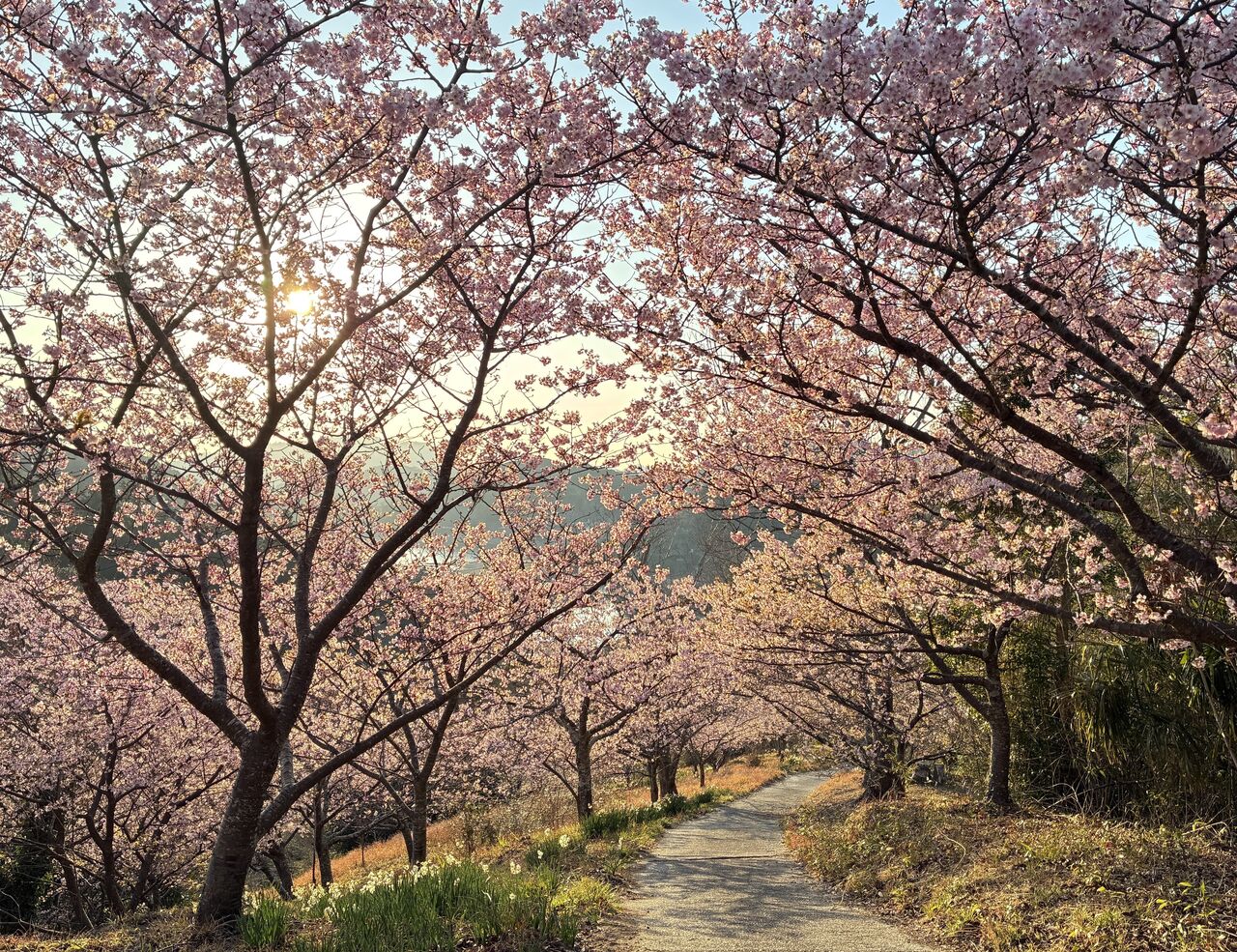 20260206_072136310_iOS