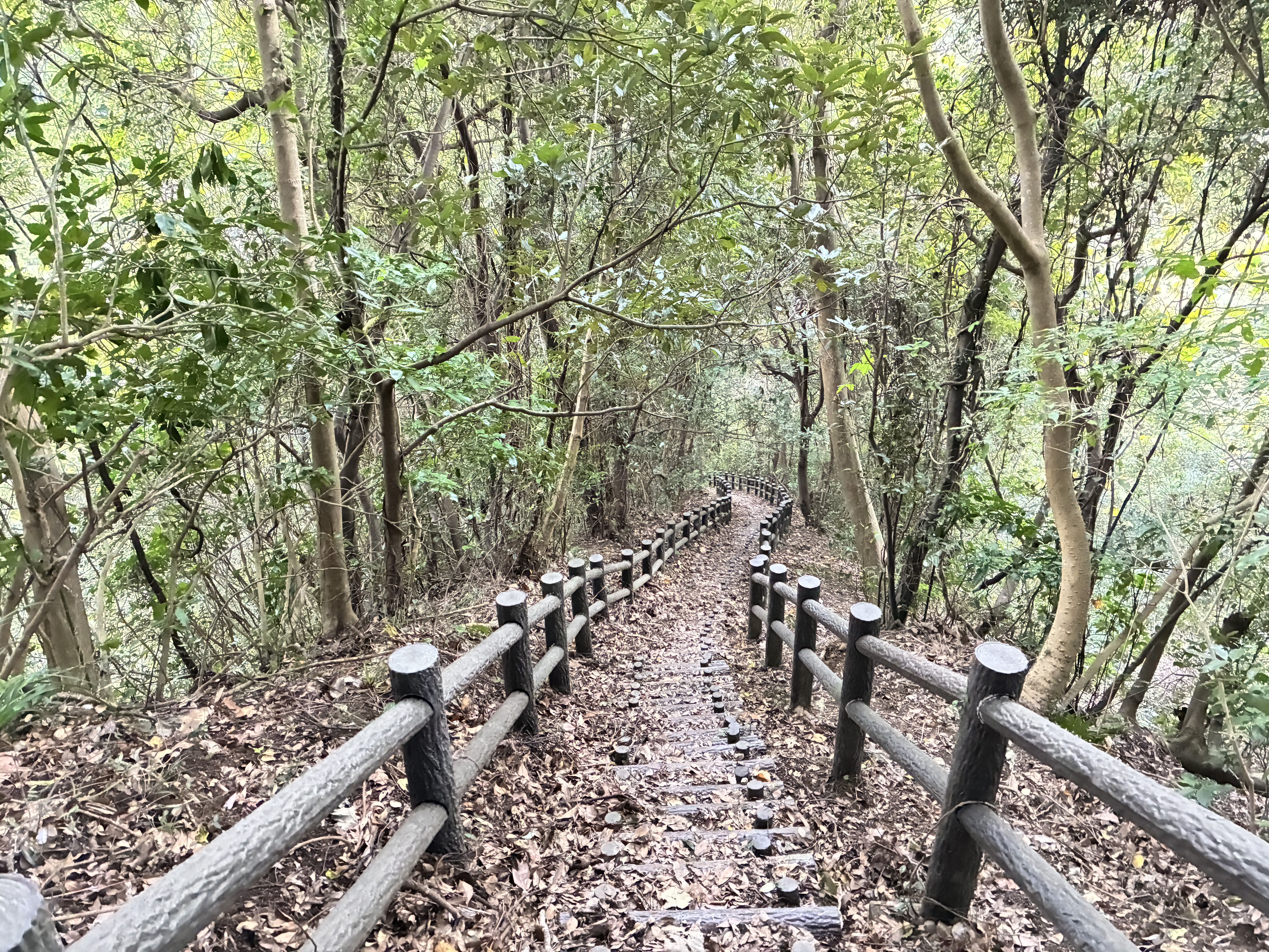 20251102_064103842_iOS