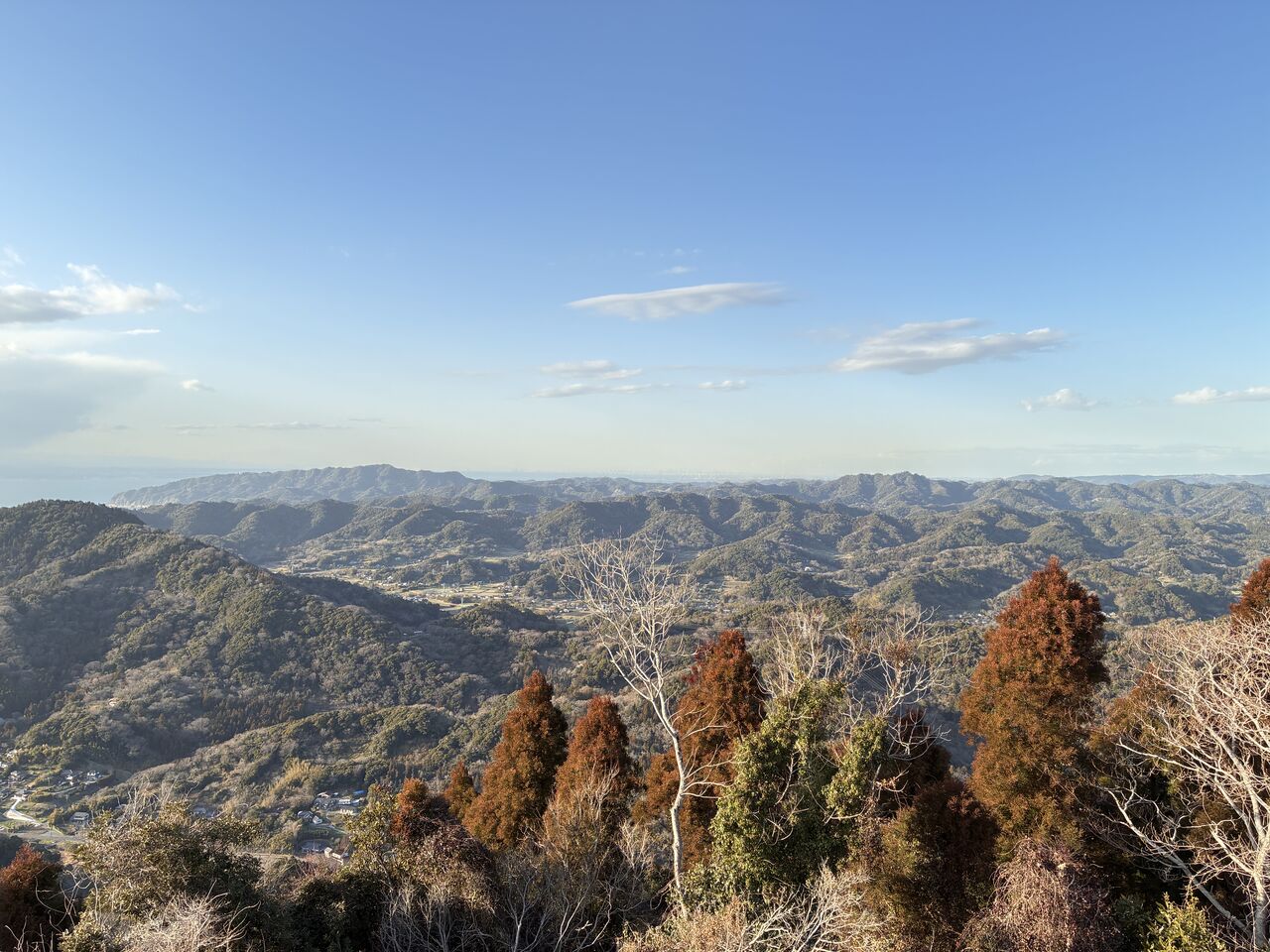 20260304_072728551_iOS