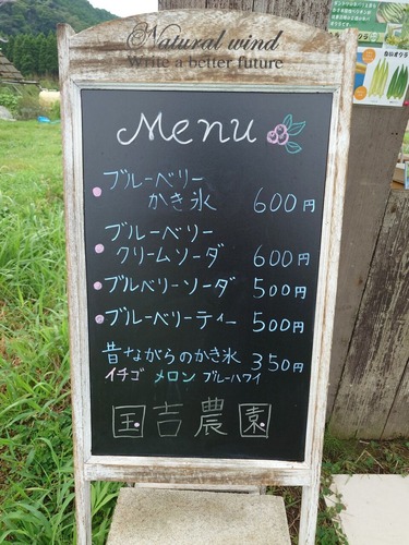 ブルーベリーメニュー