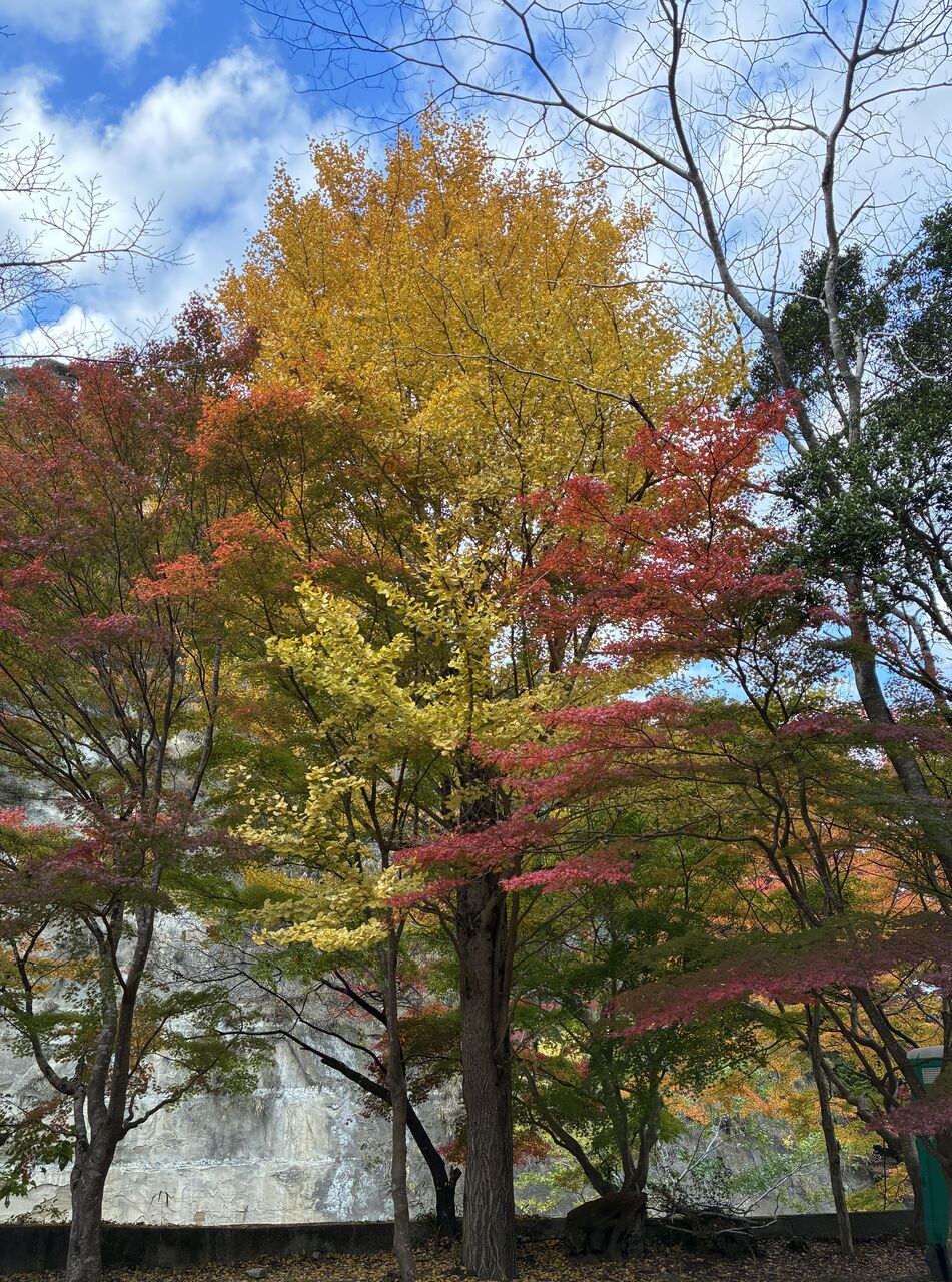 20251122_060437625_iOS