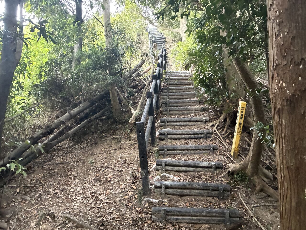 20251029_072334695_iOS