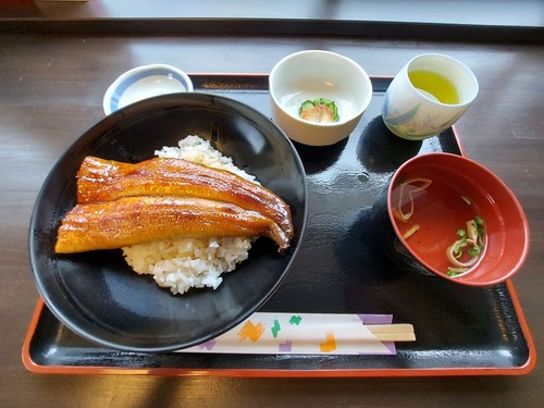 ハーフ鰻丼