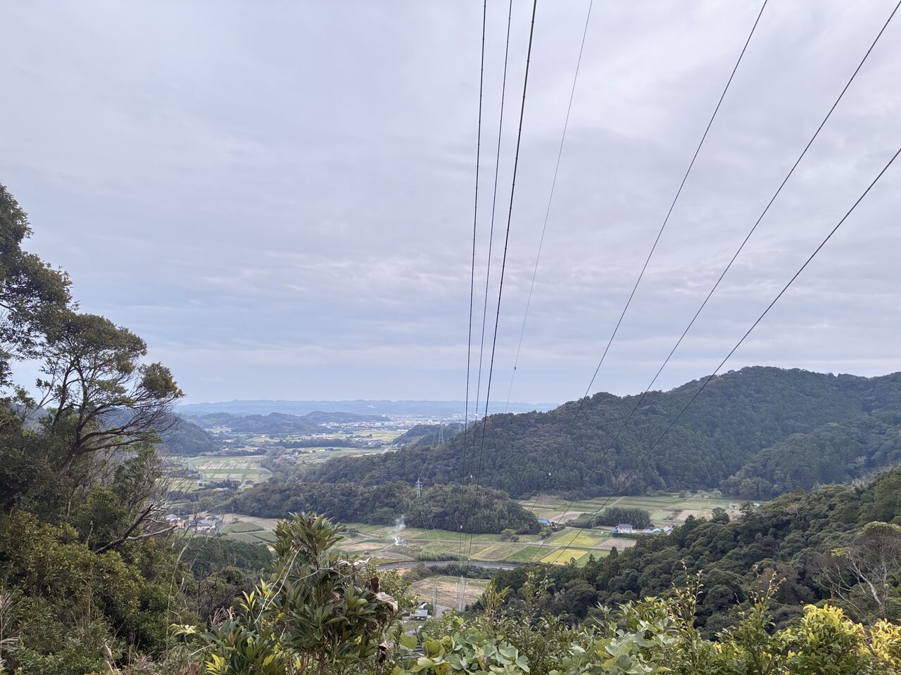 20251029_073946663_iOS