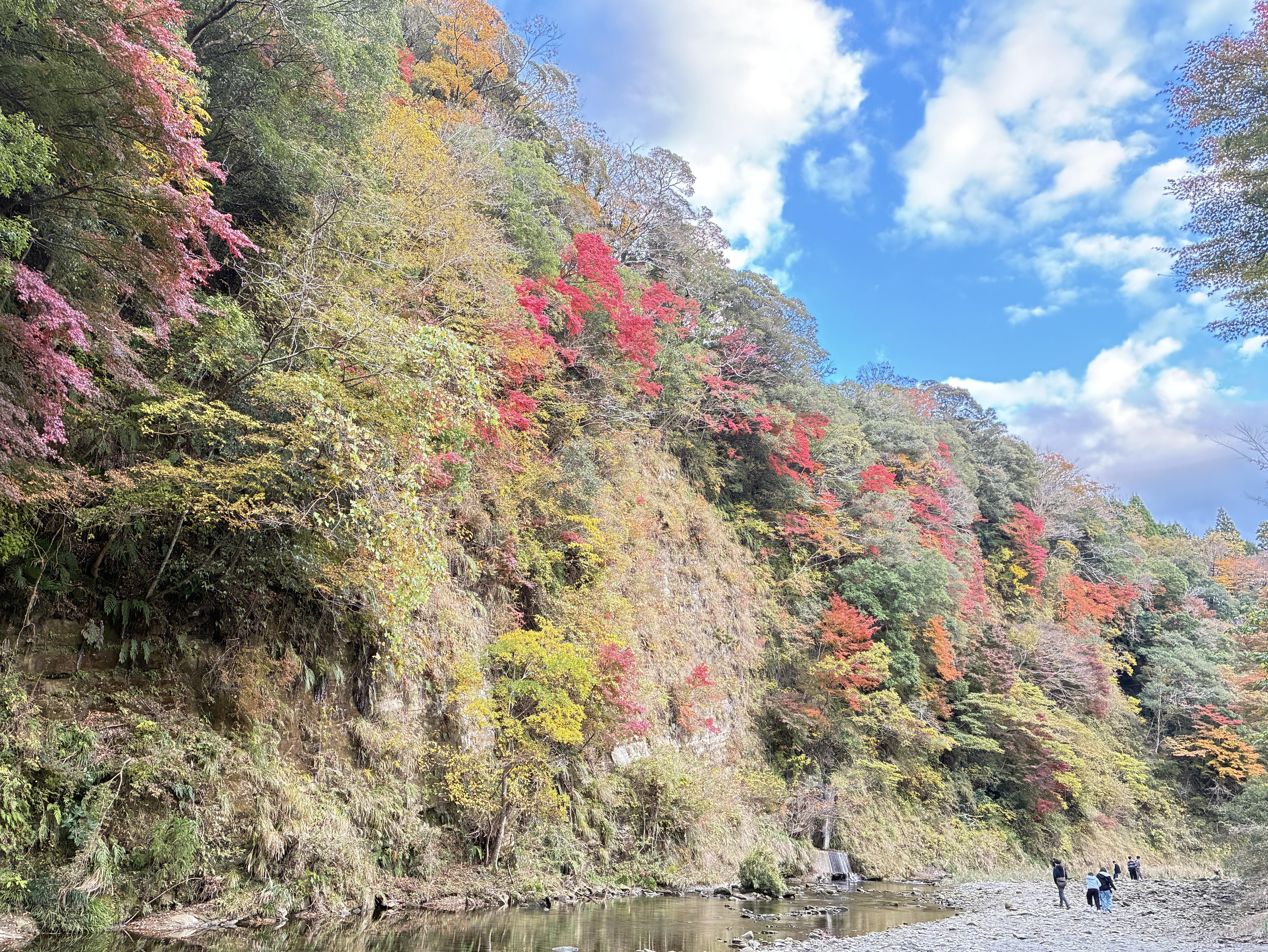 20251122_064141366_iOS