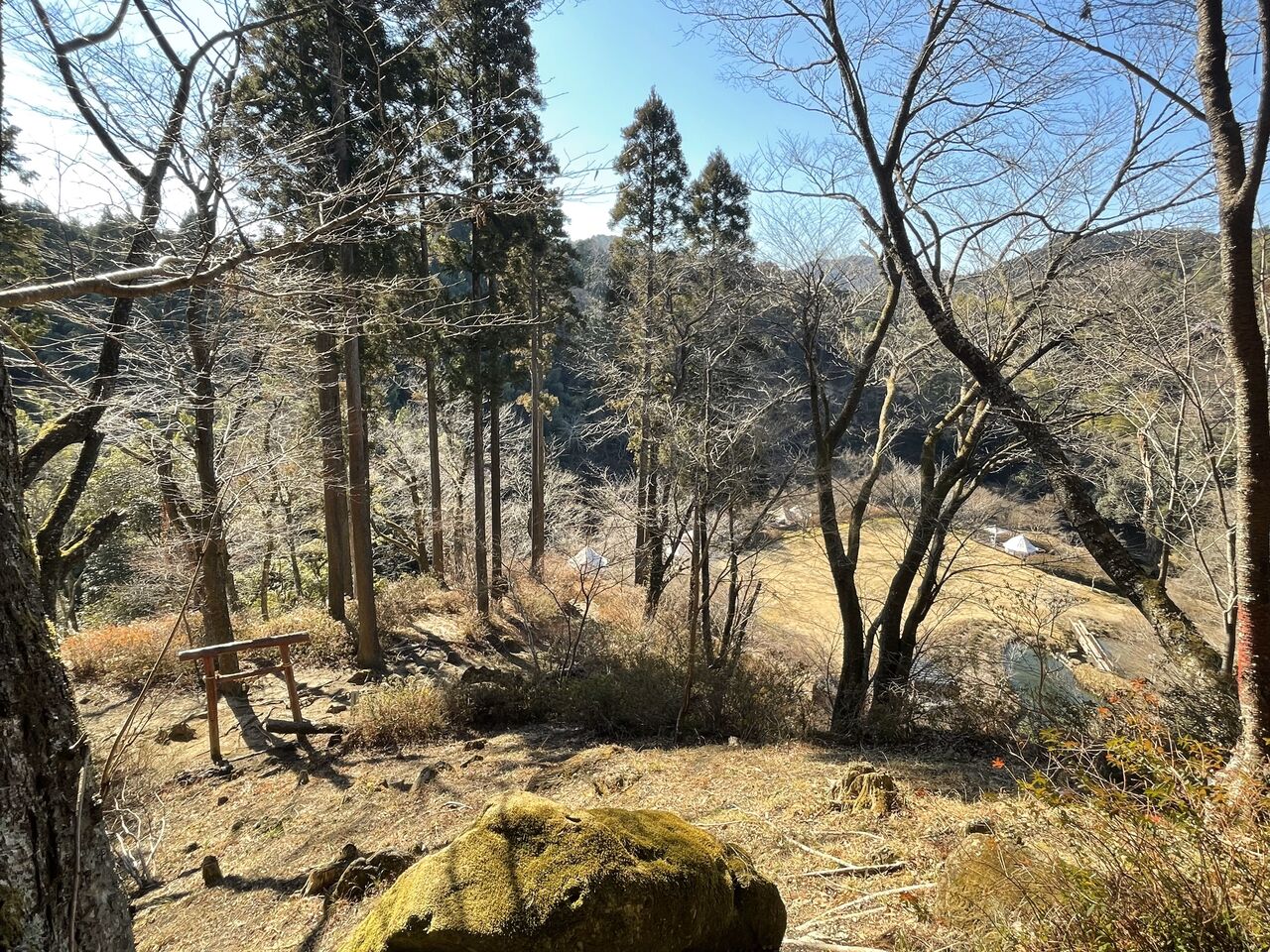 20250122_022041405_iOS