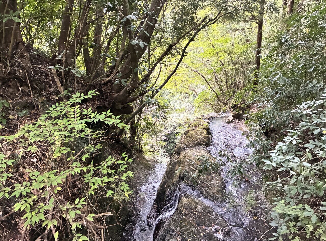 20251102_064600861_iOS