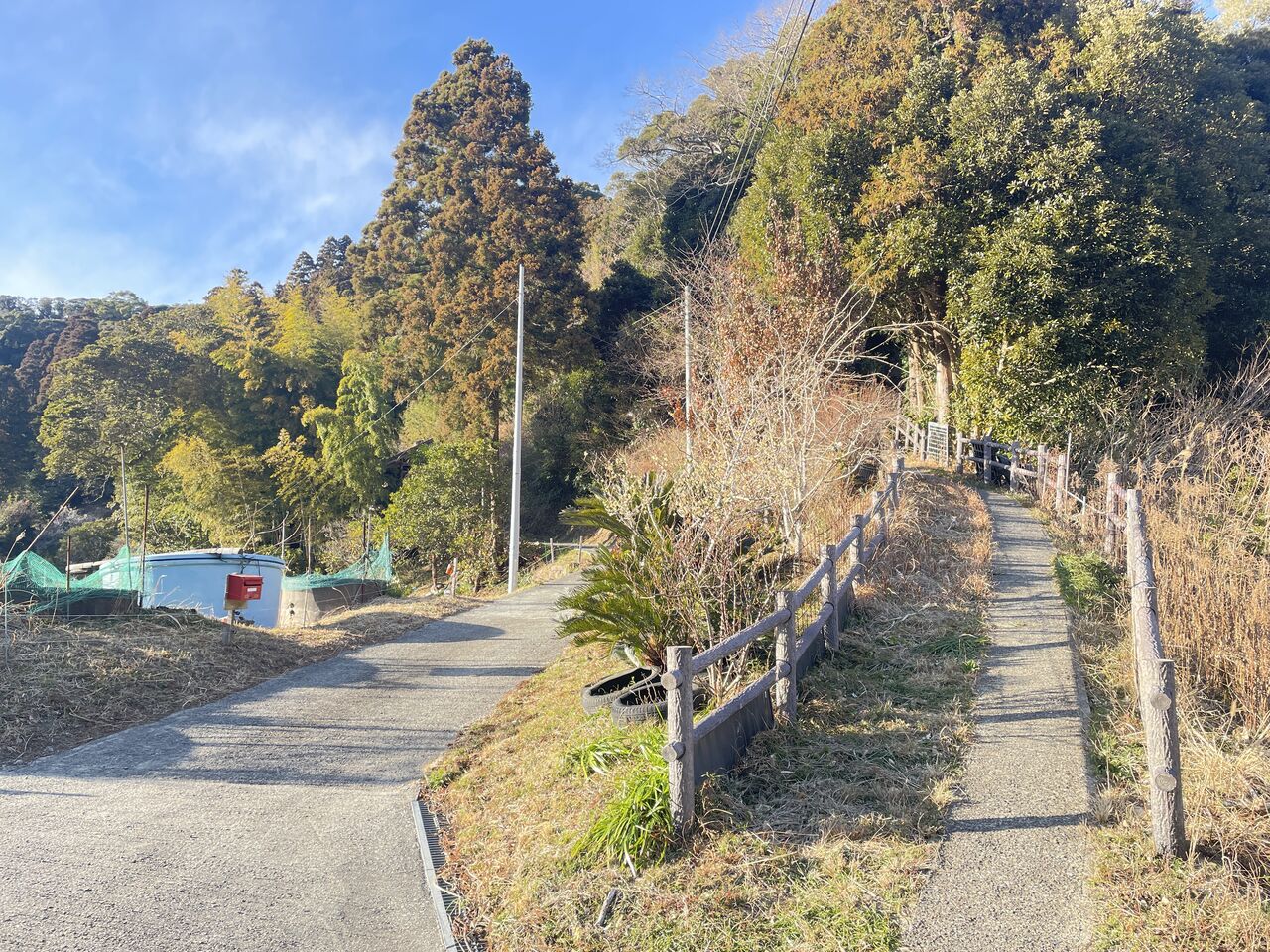 20250219_065149447_iOS