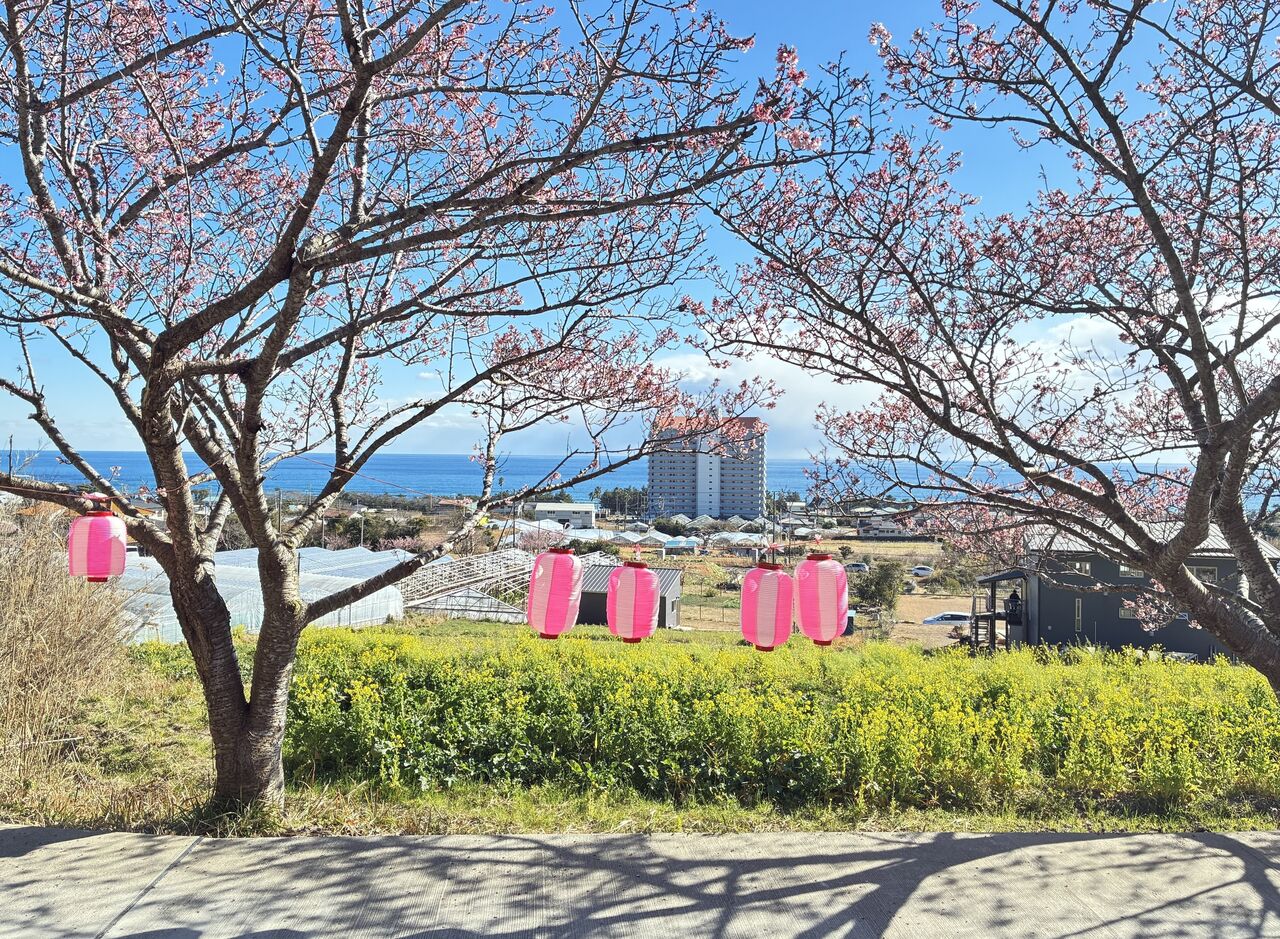 20260123_035610047_iOS